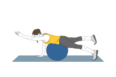 extension de pierna y brazo sobre pelota de pilates init pos 3254.png