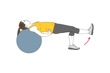 extension de rodilla apoyado sobre pelota de pilates init pos 5560.png