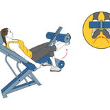 extension de piernas en maquina pies hacia dentro init pos 8399