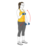 curl de biceps de pie con mancuernas agarre en pronacion init pos 2023