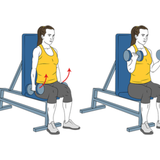 curl de biceps con mancuernas sentado con giro init pos 6025