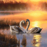 1000079553.gif