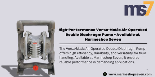 versa matic air operated double diaphragm pump.jpg