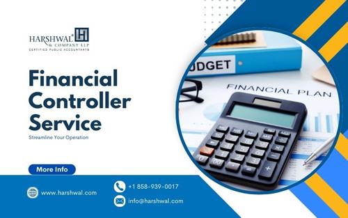 Financial Controller service streamline your operation.jpg