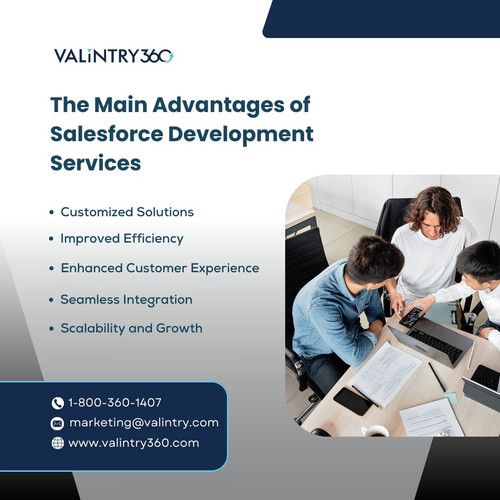 The Main Advantages of Salesforce Development Services.jpg