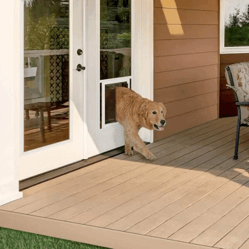 Durable and Stylish French Door Doggie Door Design.gif