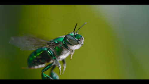 Snímka obrazovky 2025 01 21 170659.png