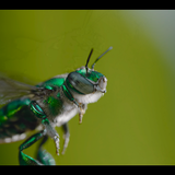 Snímka obrazovky 2025 01 21 170659