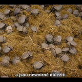 Snímka obrazovky 2025 01 21 170935
