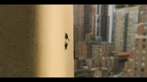 A.Real.Bugs.Life.S01E01.The.Big.City.1080p.DSNP.WEB DL.CZ SK EN.DD+5.1.H.264 NTb.mkv snapshot 02.49 