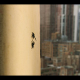 A.Real.Bugs.Life.S01E01.The.Big.City.1080p.DSNP.WEB DL.CZ SK EN.DD+5.1.H.264 NTb.mkv snapshot 02.49 