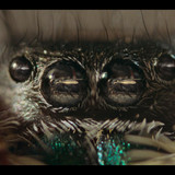 A.Real.Bugs.Life.S01E01.The.Big.City.1080p.DSNP.WEB DL.CZ SK EN.DD+5.1.H.264 NTb.mkv snapshot 22.41 