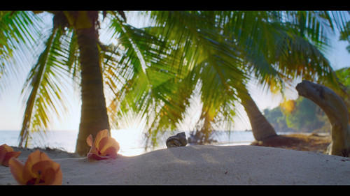 A.Real.Bugs.Life.S02E02.Lifes.a.Beach.1080p.DSNP.WEB DL.CZ SK EN.DD+5.1.H.264 NTb.mkv snapshot 02.56