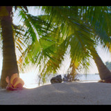A.Real.Bugs.Life.S02E02.Lifes.a.Beach.1080p.DSNP.WEB DL.CZ SK EN.DD+5.1.H.264 NTb.mkv snapshot 02.56