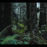 A.Real.Bugs.Life.S02E01.Love.in.the.Forest.1080p.DSNP.WEB DL.CZ SK EN.DD+5.1.H.264 NTb.mkv snapshot 