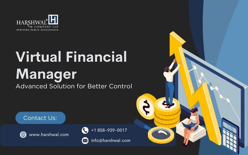 Virtual Financial Manager Advanced solution HCLLP.jpg