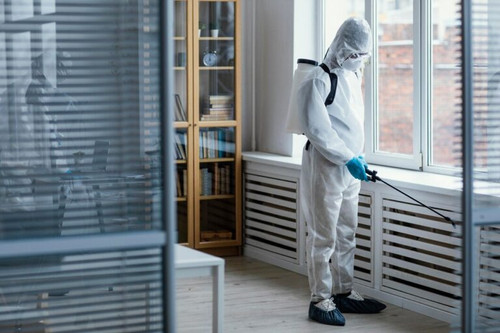 Best Pest Control Services in Earls Court |  AlanCo Services Ltd.jpg
