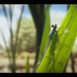 Snímka obrazovky 2025 01 21 181625