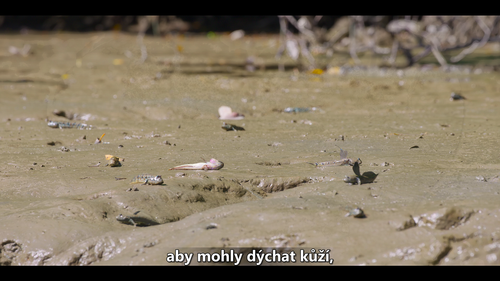 Snímka obrazovky 2025 01 21 181437.png