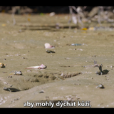 Snímka obrazovky 2025 01 21 181437