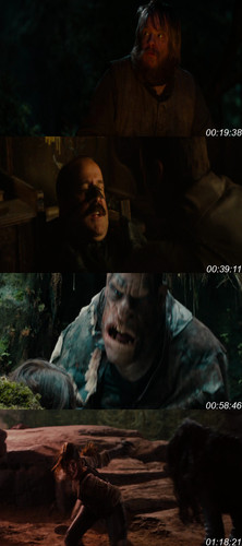 Hansel Gretel Witch Hunters (2013) www.10xflix.com Dual Audio 1080p BluRay.jpg
