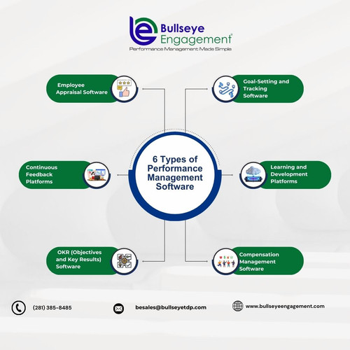 6 Types of Performance Management Software.jpg