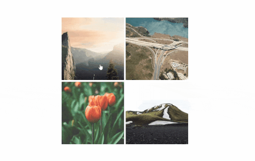 679068776a11f 679068776d909.gif