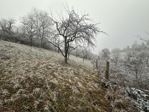 winter.jpg
