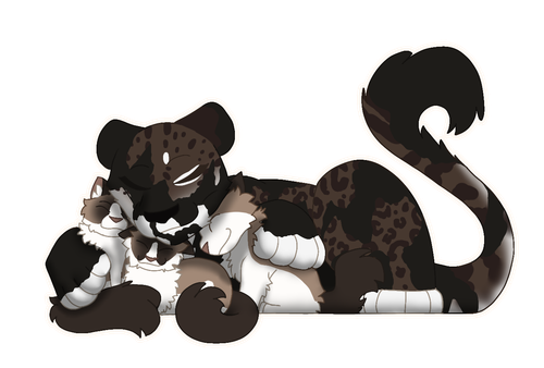 855 Sem Título 20250122204346.png