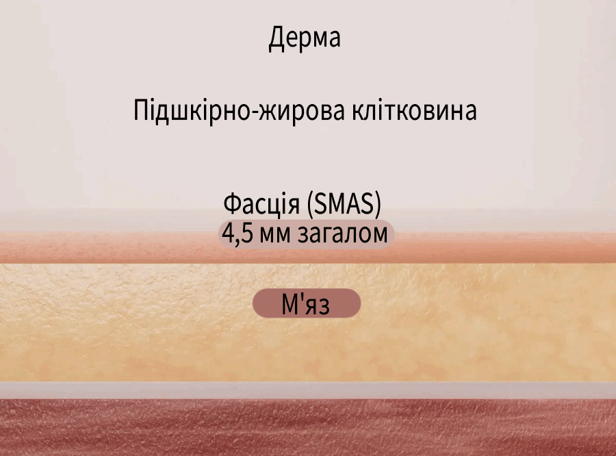 5 копия