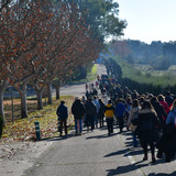 DSC 5756