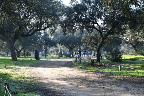 DSC 5302.jpg