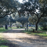 DSC 5302