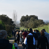 DSC 5754