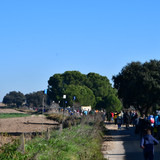 DSC 5762