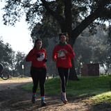 DSC 5453