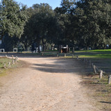 DSC 5340