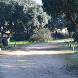 DSC 5339