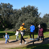 DSC 5726