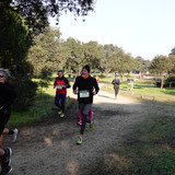 DFA05904