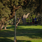 DFA05812