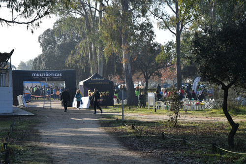 DSC 5273.jpg