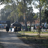 DSC 5273