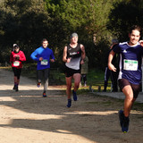 DFA06271
