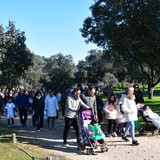 DSC 5739