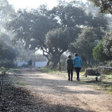 DSC 5290