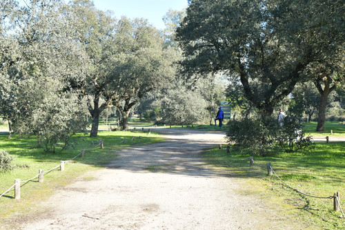 DSC 5518.jpg