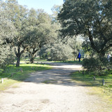 DSC 5518