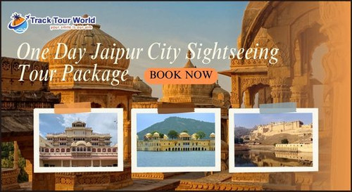 One Day Jaipur City Sightseeing Tour Package - Track Tour World.jpg