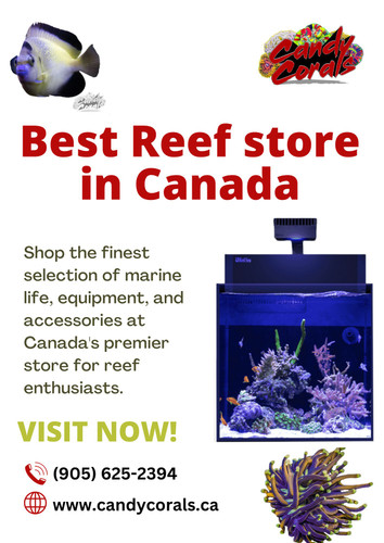 Best Reef Store in Canada for Premium Marine Supplies.jpg